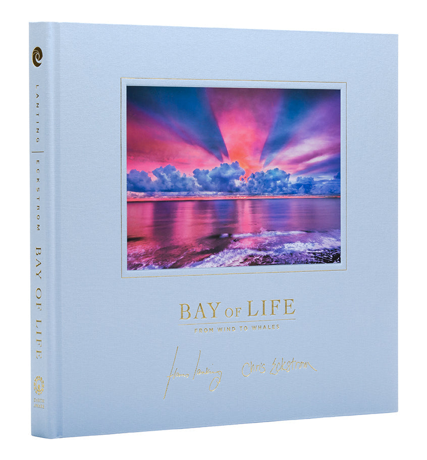 Bay of Life