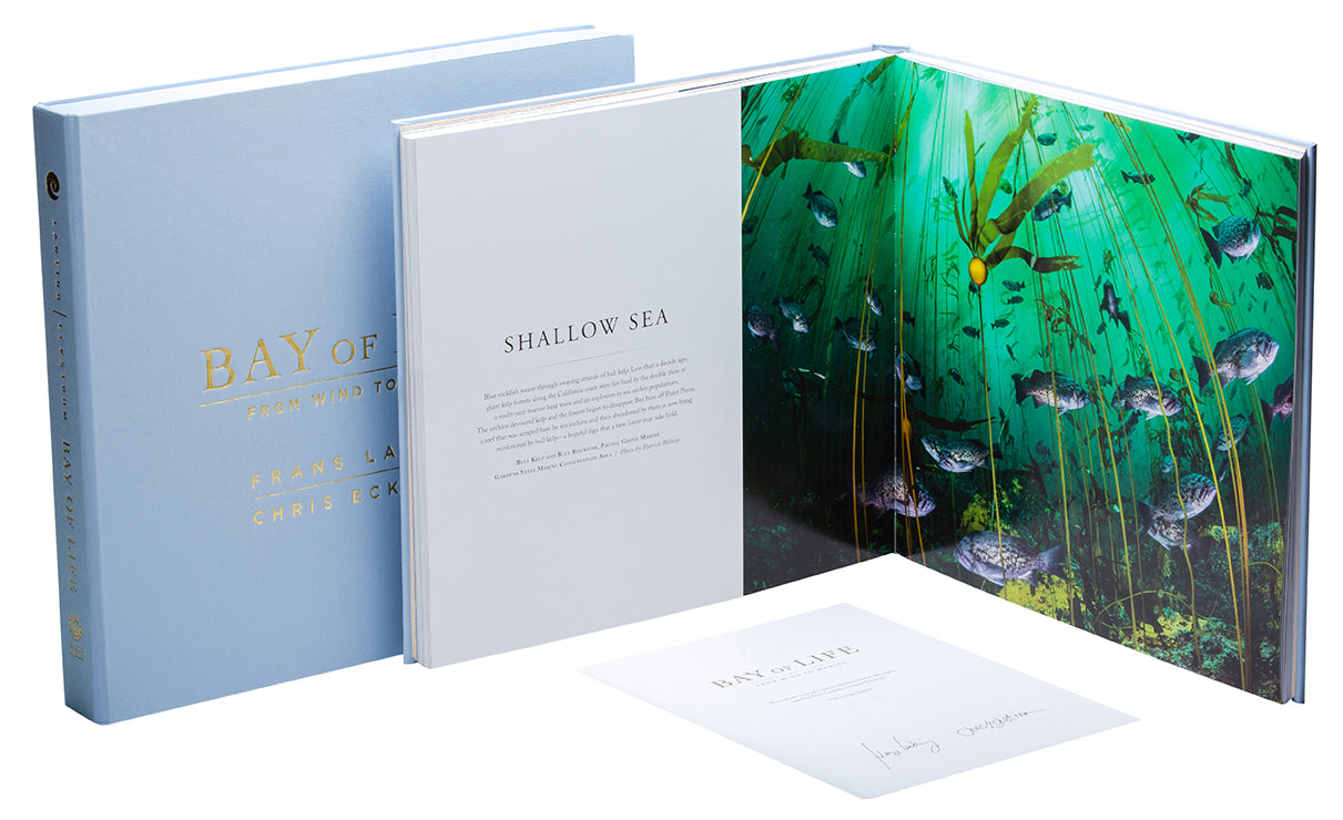 Bay of Life