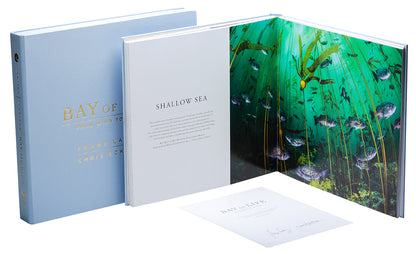 Bay of Life