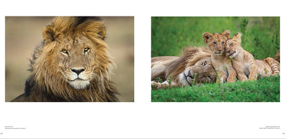 The New Big 5