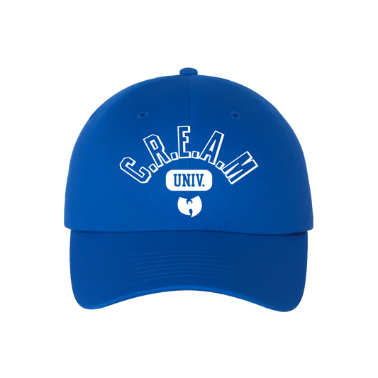 Wu-Tang Clan Officially Licensed Kids Youth C.R.E.A.M. University Dad Hat Blue