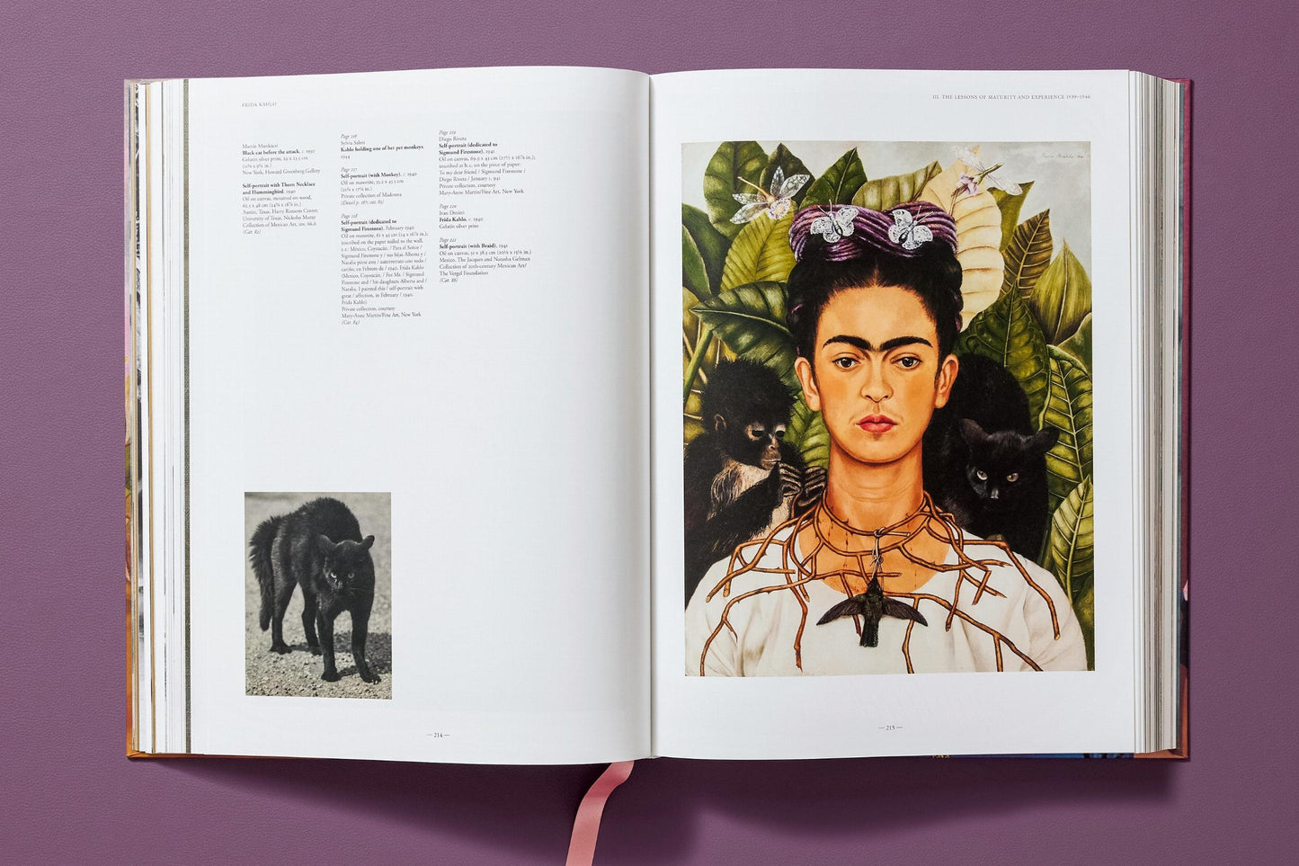Frida Kahlo. The Complete Paintings (English) Book