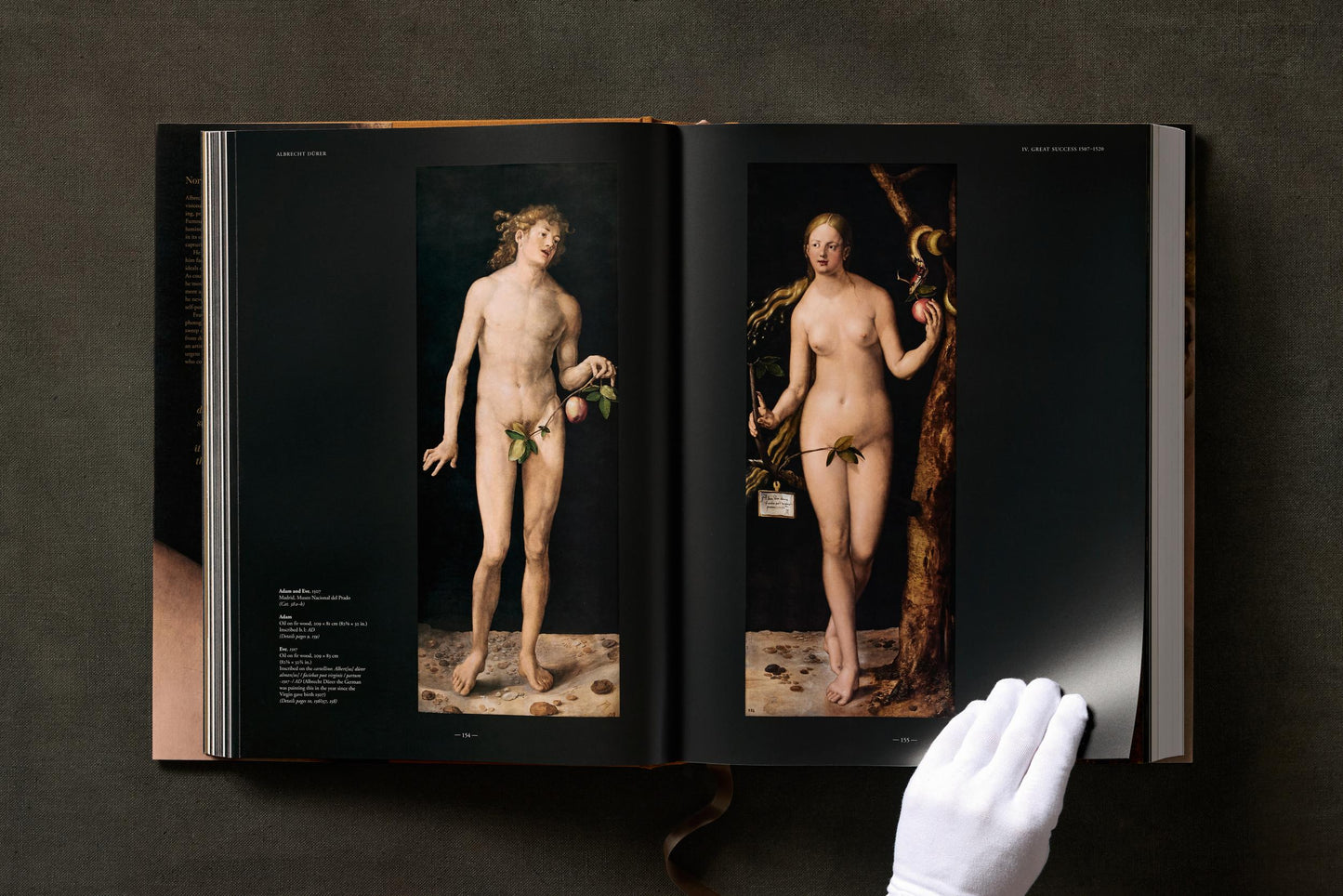 Albrecht Dürer. The Complete Paintings. Selected Drawings and Prints (English) Book