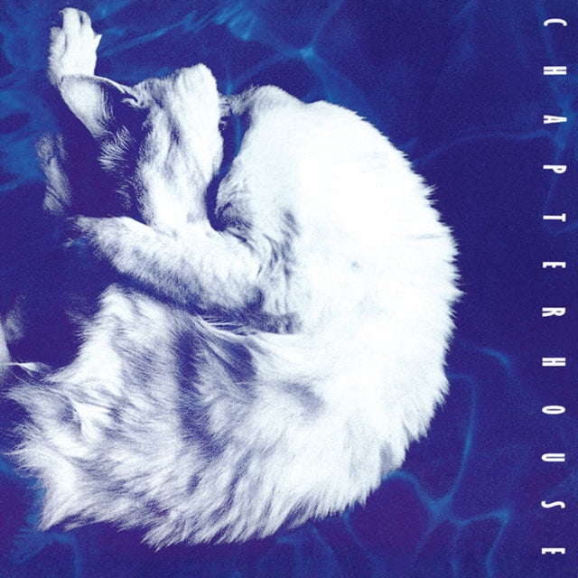 Chapterhouse - Whirlpool (White Marbled LP Vinyl/180G) Vinyl Record