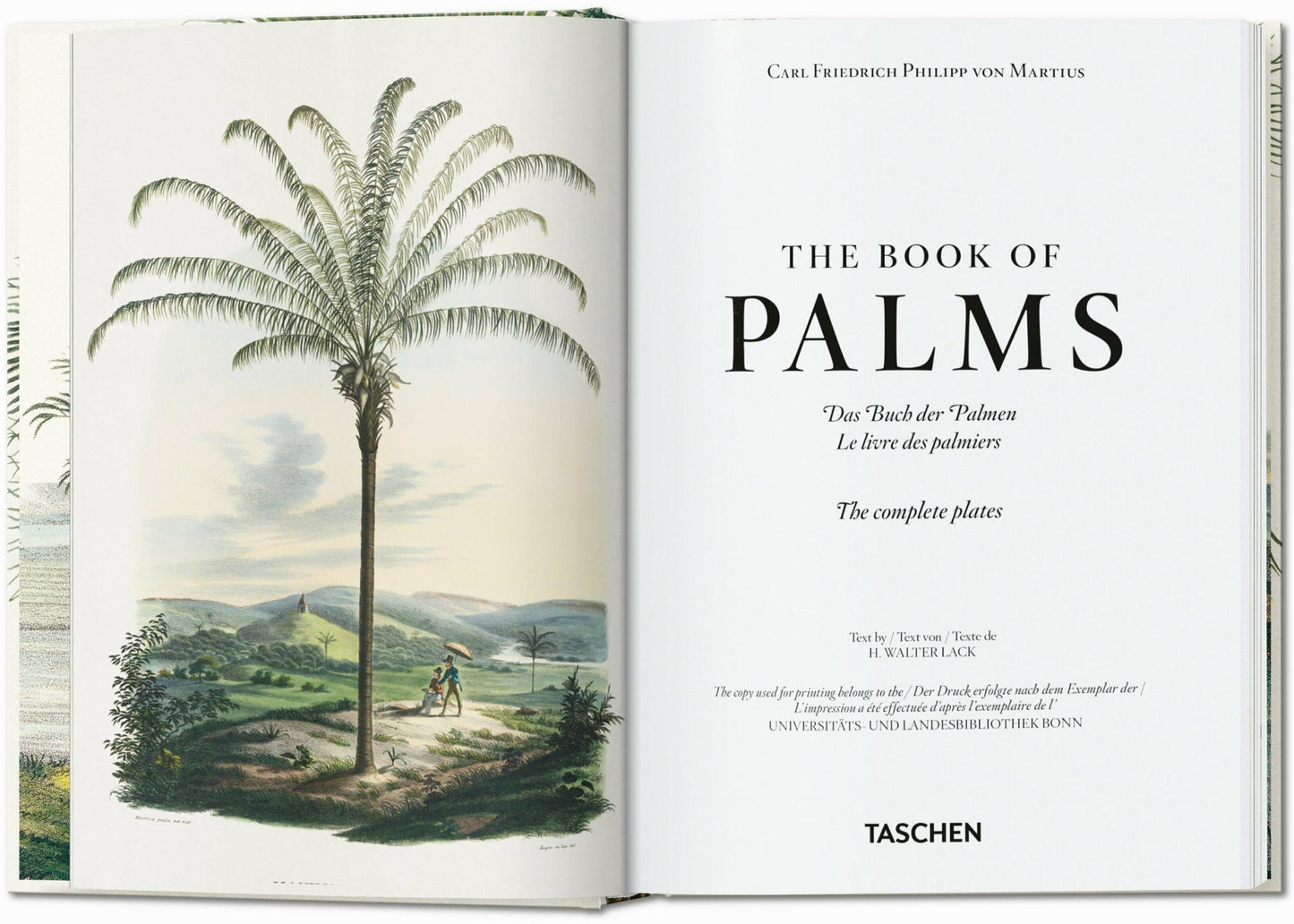 Martius. The Book of Palms. 45th Ed. (German, French, English) Book