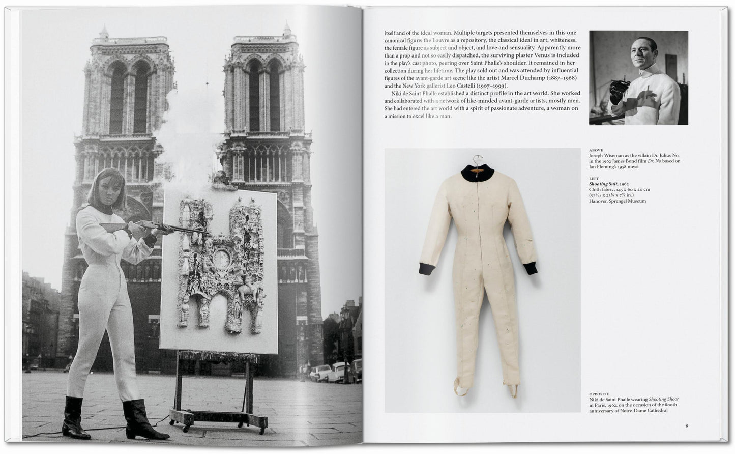 Niki de Saint Phalle (English) Book Book