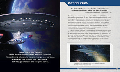 IncrediBuilds: Star Trek The Next Generation: U.S.S. Enterprise NCC-1701-D 3D Wood Model and Book