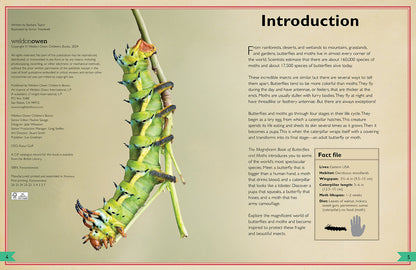 The Magnificent Book of Butterflies & Moths