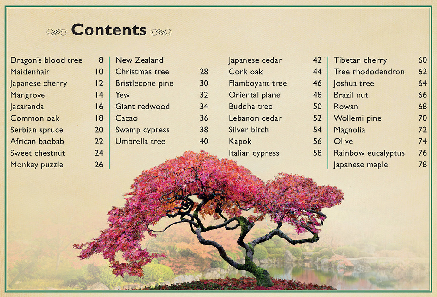 The Magnificent Book of Trees
