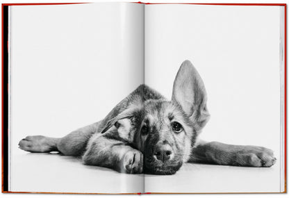 Walter Chandoha. Dogs. Photographs 1941–1991 (English) Book