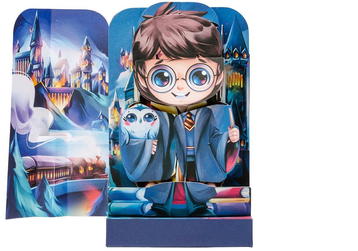 Harry Potter Flip Pop: Harry Potter