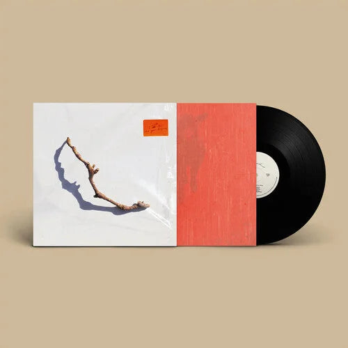 PJ Harvey - I Inside The Old Year Dying Vinyl Record