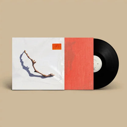 PJ Harvey - I Inside The Old Year Dying Vinyl Record