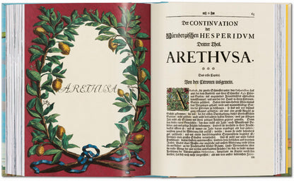 J. C. Volkamer. The Book of Citrus Fruits. 45th Ed. (German, French, English) Book