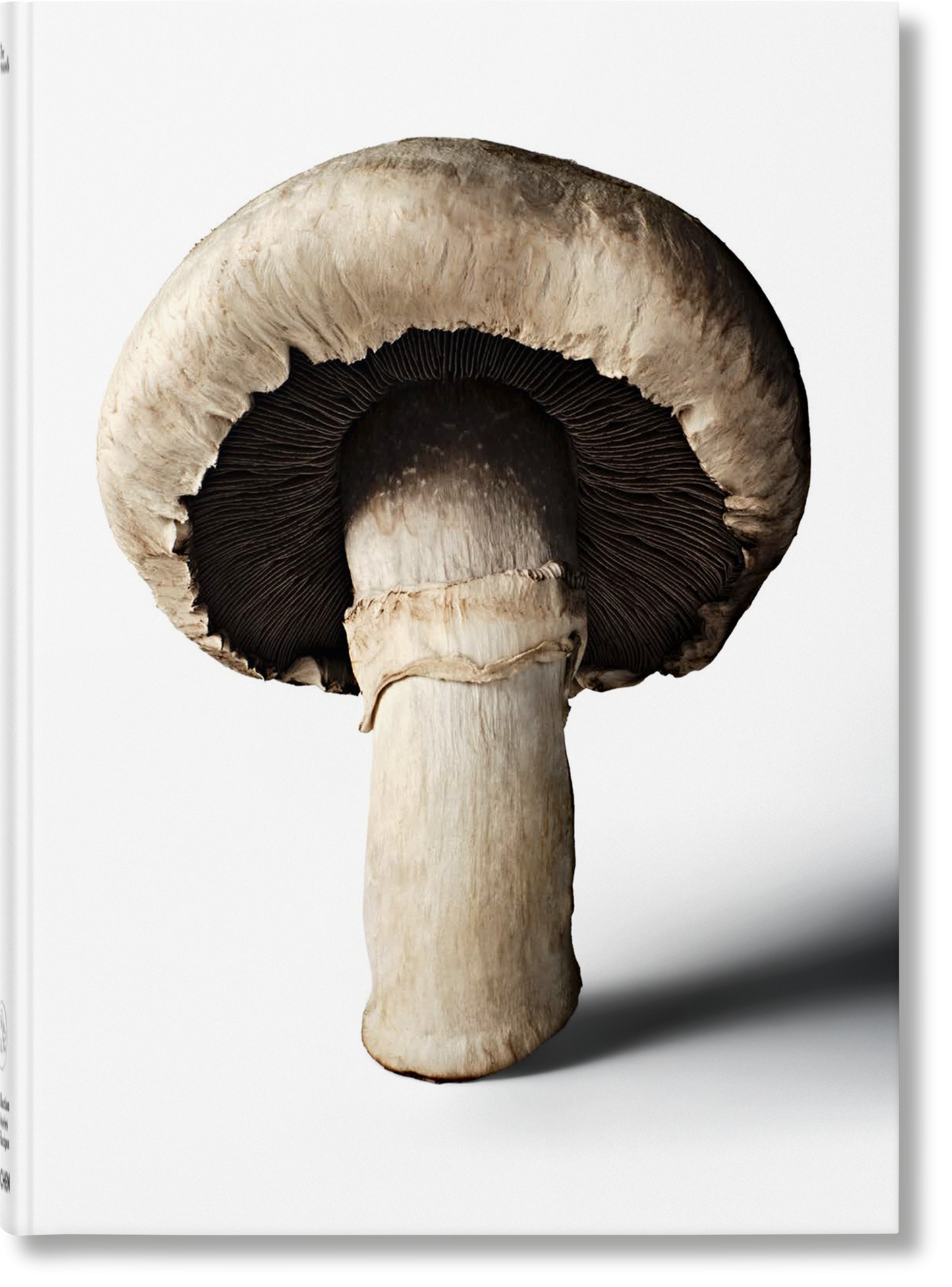 The Gourmand's Mushroom. A Collection of Stories and Recipes (English) Book