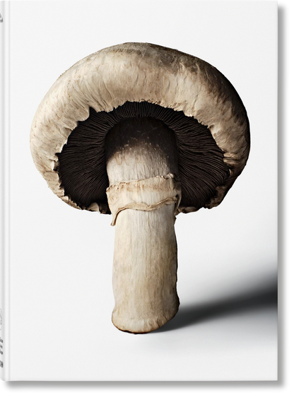 The Gourmand's Mushroom. A Collection of Stories and Recipes (English) Book