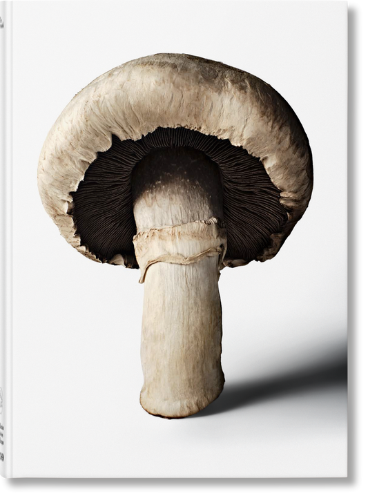 The Gourmand's Mushroom. A Collection of Stories and Recipes (English) Book