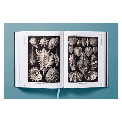 The Art and Science of Ernst Haeckel (German, French, English) Book