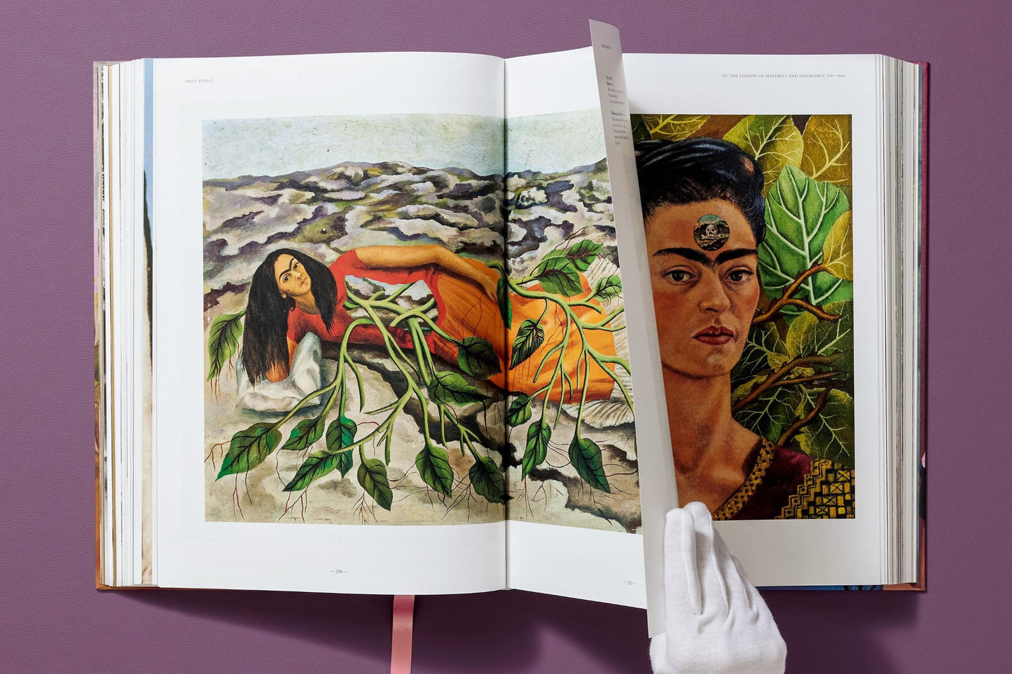 Frida Kahlo. The Complete Paintings (English) Book