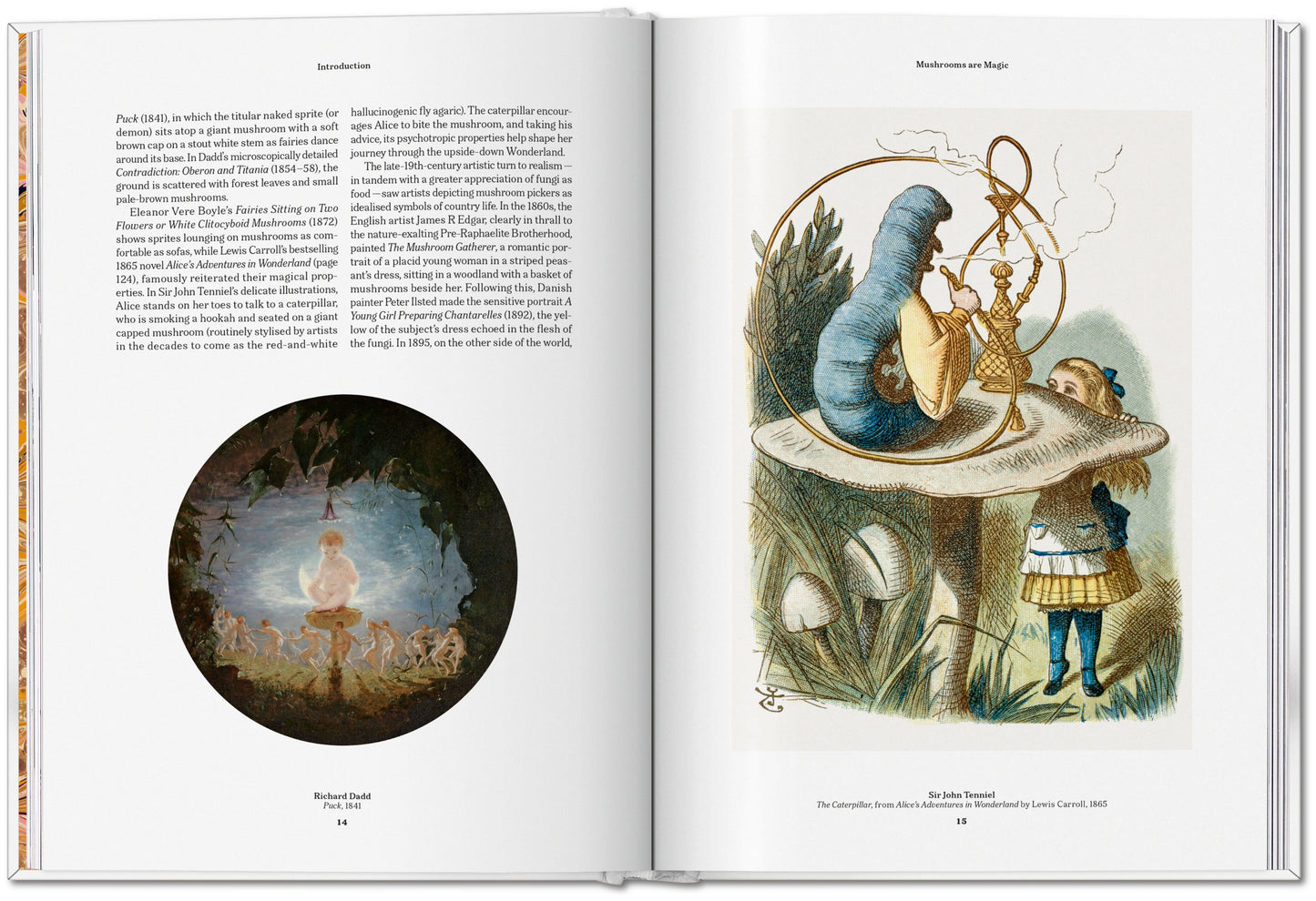 The Gourmand's Mushroom. A Collection of Stories and Recipes (English) Book