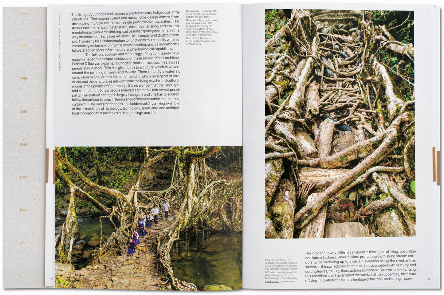 Julia Watson. Lo—TEK. Design by Radical Indigenism (English) Book