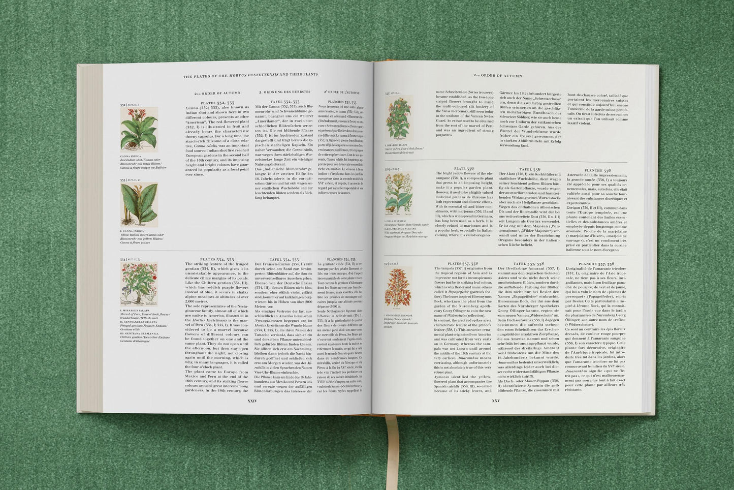 Basilius Besler. The Garden at Eichstätt (German, French, English) (FFE) Book