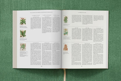 Basilius Besler. The Garden at Eichstätt (German, French, English) (FFE) Book