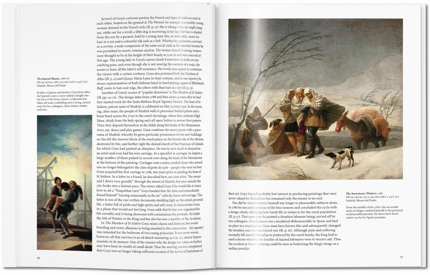 Goya (English) Book