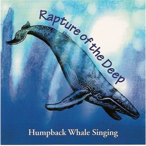 Knapp,paul Jr. - Rapture Of The Deep-humpback Whale Singing - Music CD