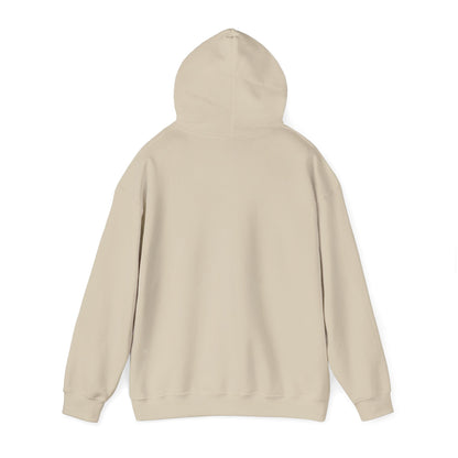 Play Neck Hoodie
