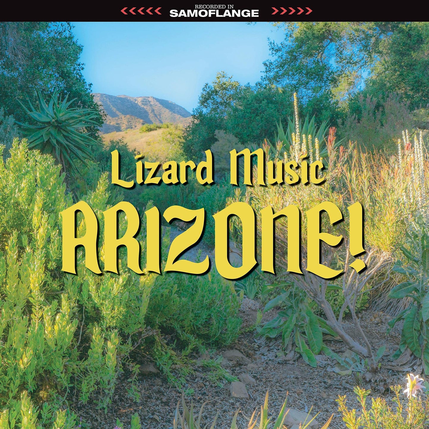 Lizard Music - Arizone [LP] Vinyl Record Album Cover