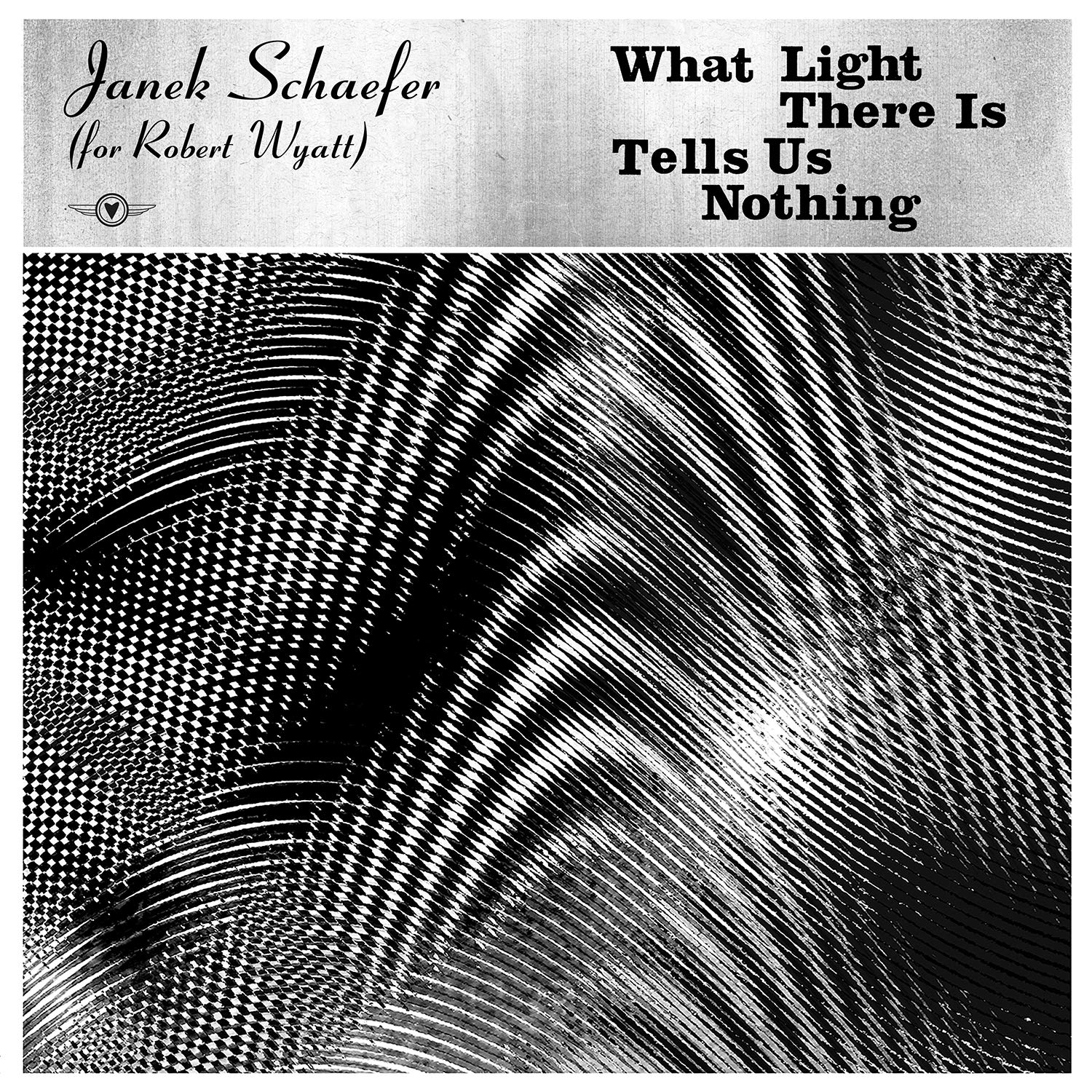 Janek Schaefer - What Light There Is Tells Us Nothing [LP] Vinyl Record Album Cover