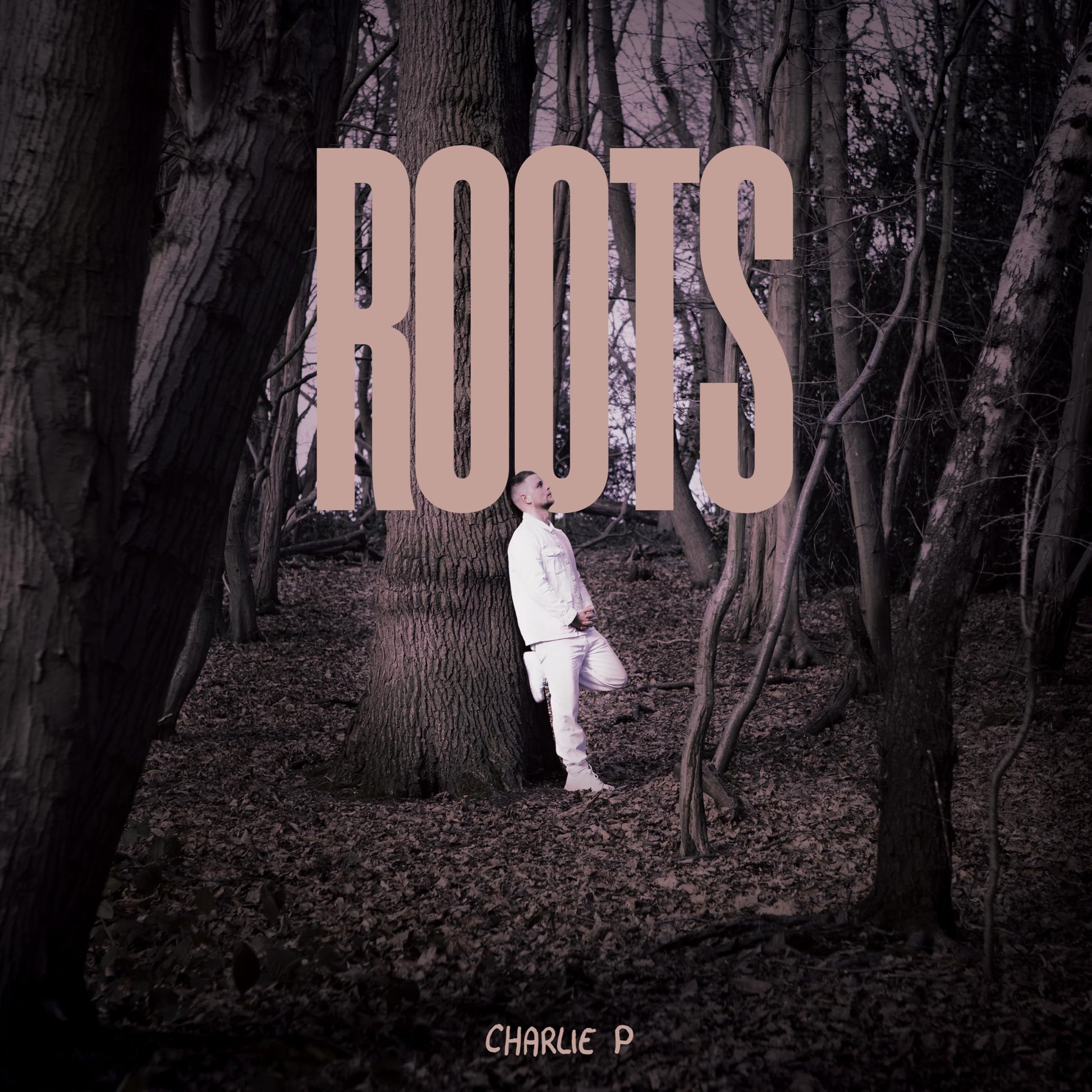 Charlie P - Roots [LP] Vinyl Record Album Cover