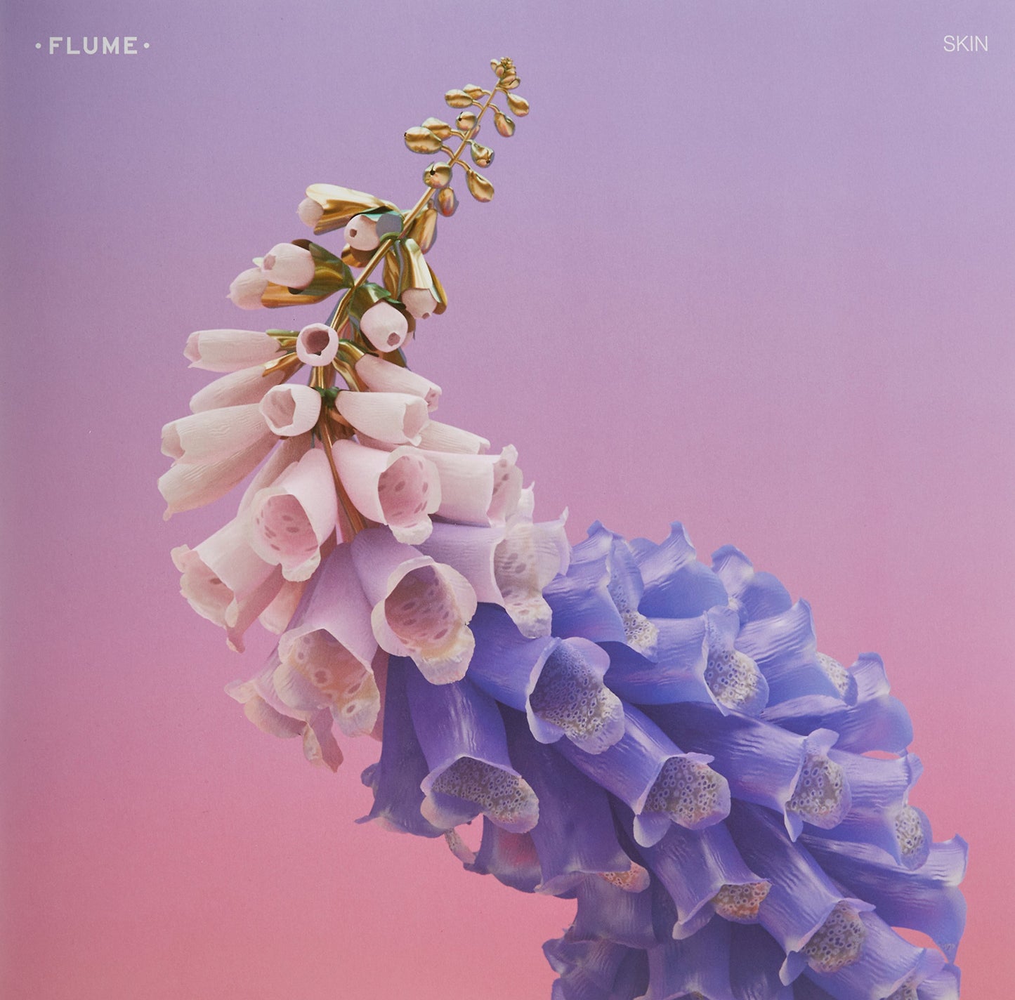 Flume - Skin [Limited Edition Vinyl] Vinyl Record Album Cover