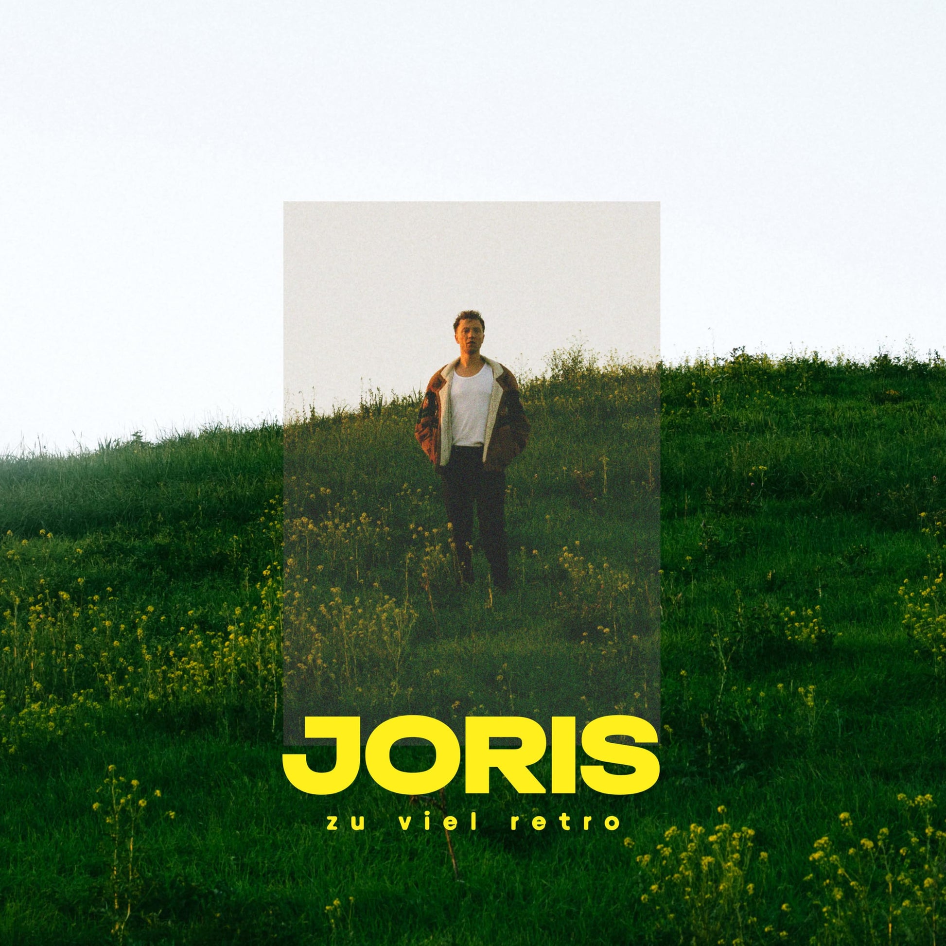 Joris - Zu Viel Retro [LP] Vinyl Record Album Cover