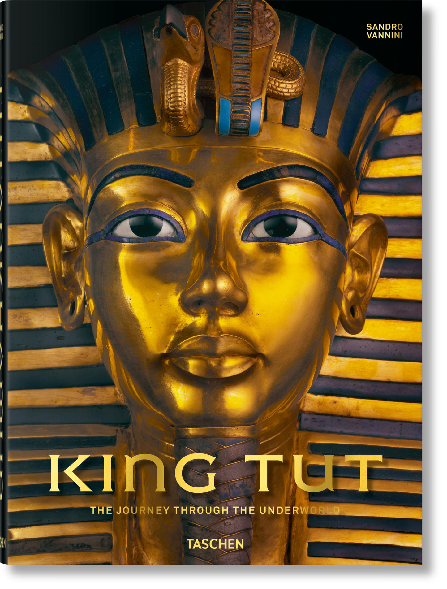 King Tut. The Journey through the Underworld (English) Book