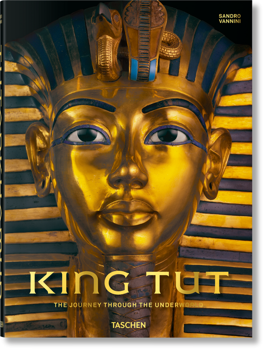 King Tut. The Journey through the Underworld (English) Book