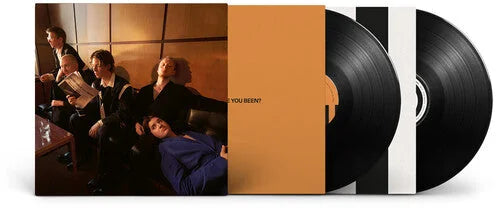 Giant Rooks - How Have You Been? Vinyl Record