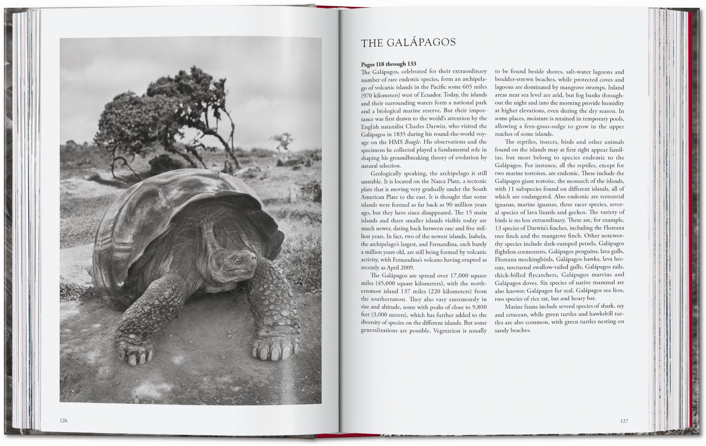 Sebastião Salgado. Genesis. 45th Ed. (English) Book