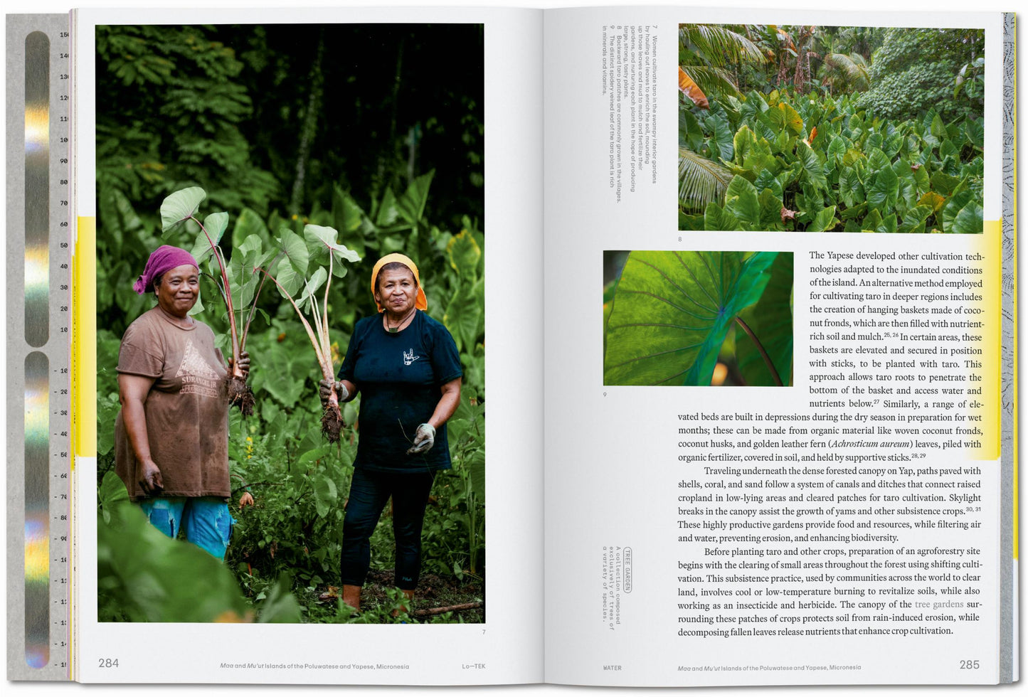 Julia Watson. Lo—TEK. Water. A Field Guide for TEKnology (English) Book