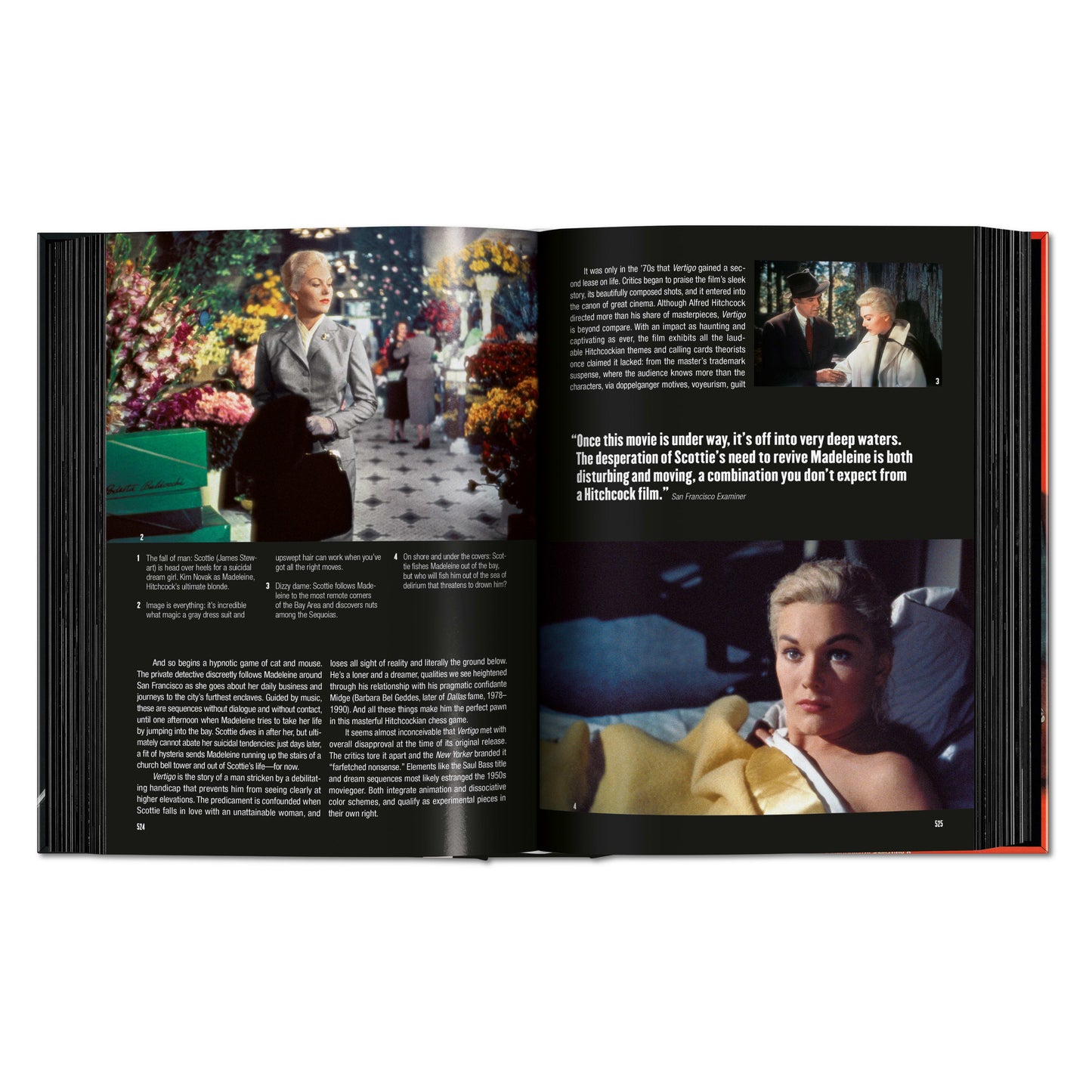 Film Noir. 100 All-Time Favorites (English) Book