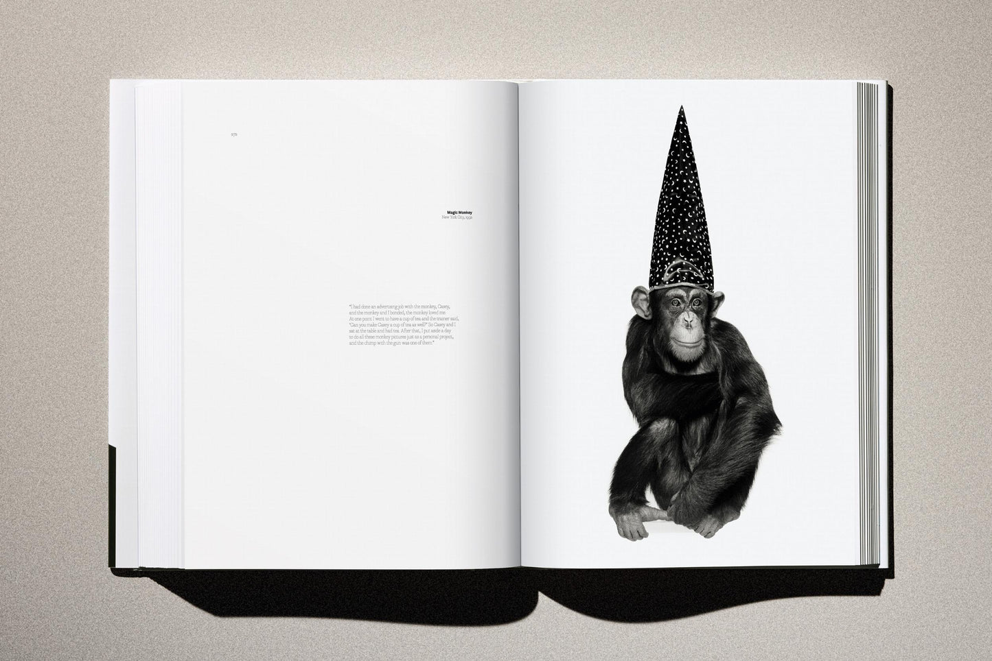 Albert Watson. Kaos (German, French, English) Book