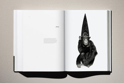 Albert Watson. Kaos (German, French, English) Book