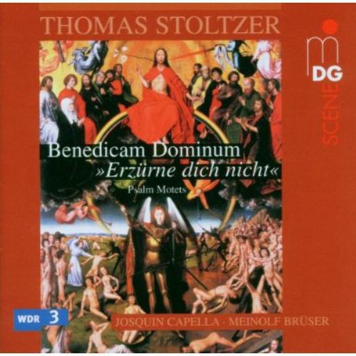 Stoltzer / Cappella / Bruser - Latin & German Psalms - Music CD