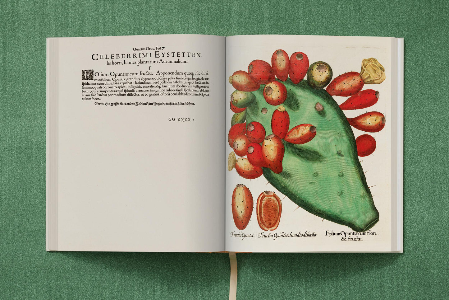 Basilius Besler. The Garden at Eichstätt (German, French, English) (FFE) Book