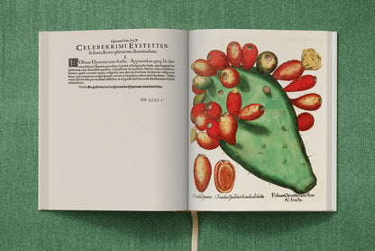 Basilius Besler. The Garden at Eichstätt (German, French, English) (FFE) Book