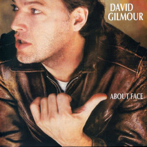 Gilmour,david - About Face - Music CD