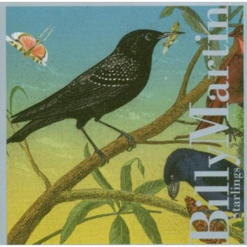 Martin / Coleman / Choi / Jaffe / Lee / Dunn - Starlings - Music CD