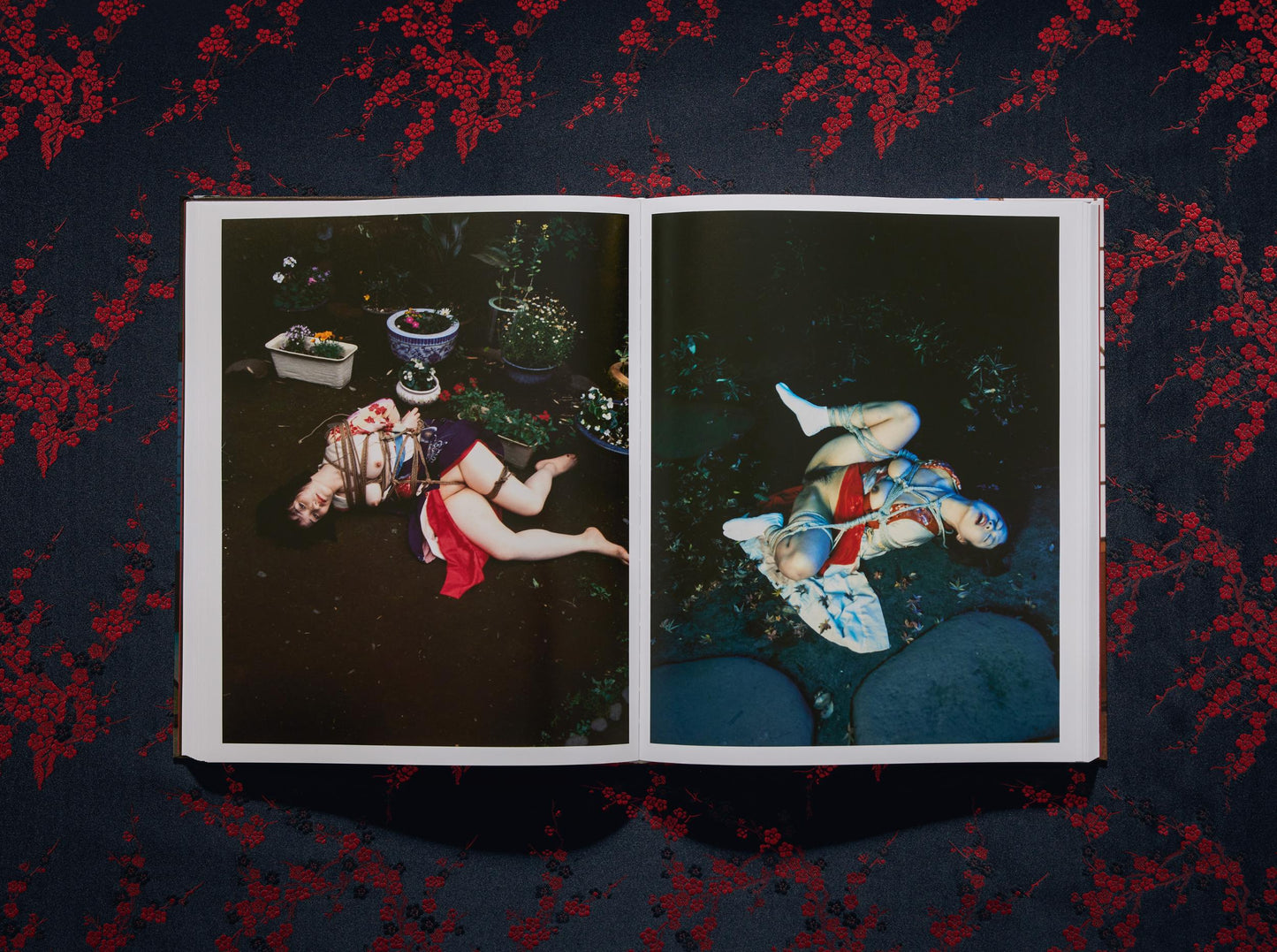 Araki. Bondage (English) Book