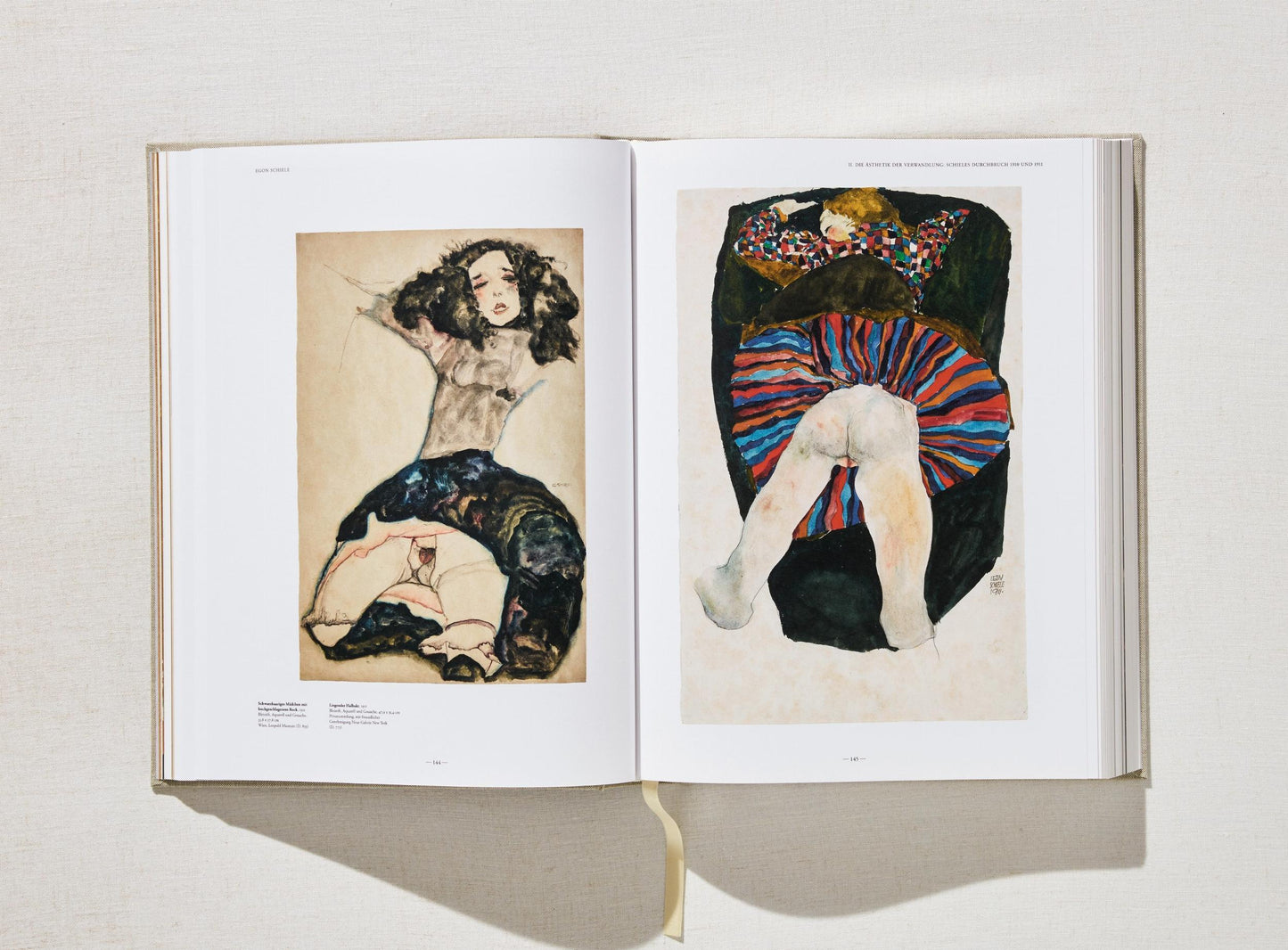 Egon Schiele. The Complete Paintings 1909–1918 (English) Book